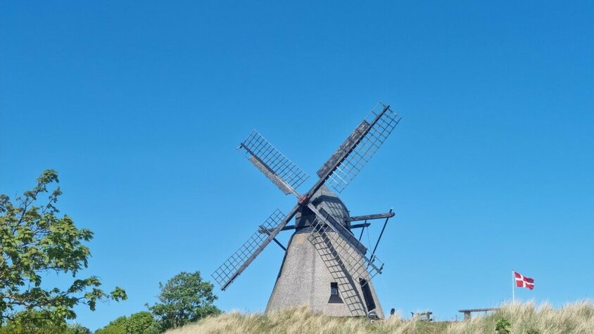 Traditionelle Windmühle auf einer Düne Eine historische Windmühle erhebt sich über eine mit Dünen bewachsene Anhöhe. Daneben weht die dänische Flagge unter strahlend blauem Himmel.