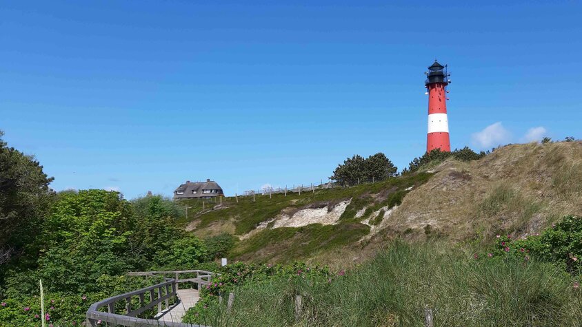 Roter Leuchtturm auf einer Düne an der Nordsee bei blauem Himmel.