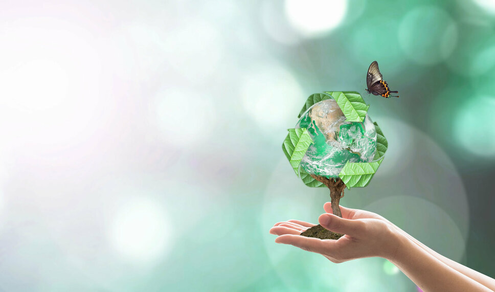 Ruce držící strom, jehož větve představují zeměkouli, na zářícím pozadí. Nad stromem je vidět symbol recyklace a letí k němu motýl, který symbolizuje harmonické spojení přírody a udržitelnosti. V podnikatelské etice společnosti weba Werkzeugbau symbolizuje tento obrázek iniciativu společnosti v oblasti udržitelnosti a ochrany životního prostředí.