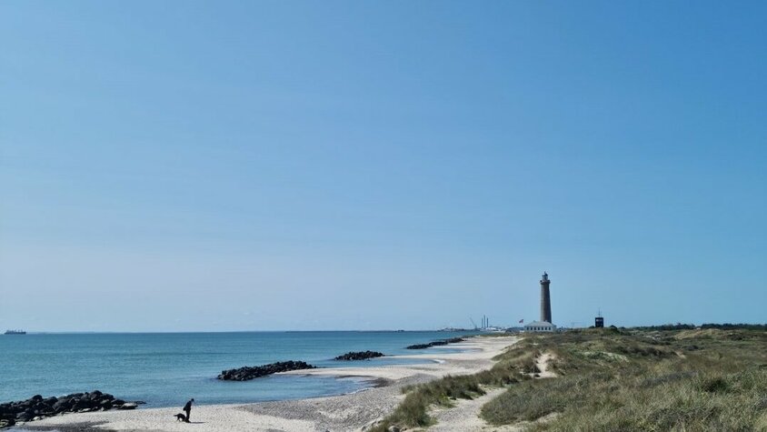 Ruhe, Weitblick und Orientierung Ein sandiger Küstenpfad schlängelt sich durch grasbewachsene Dünen in Richtung eines Leuchtturms an der dänischen Nordspitze. Das ruhige Meer und der blaue Himmel unterstreichen die friedliche Atmosphäre.